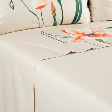 Lysiris Cotton Bed Sheet - Multicolour - 3