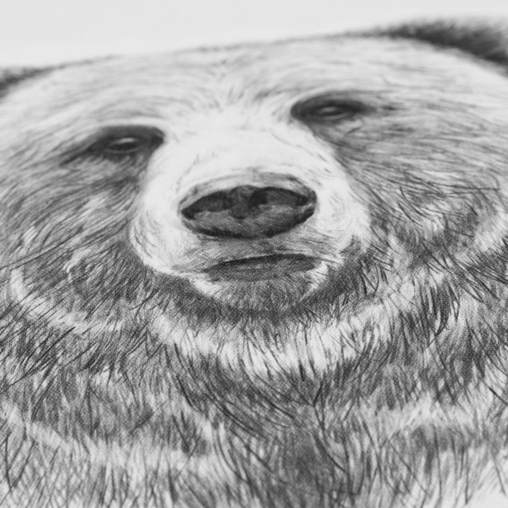 Grizzli Cotton Square Cushion Cover - Carré Blanc Canada