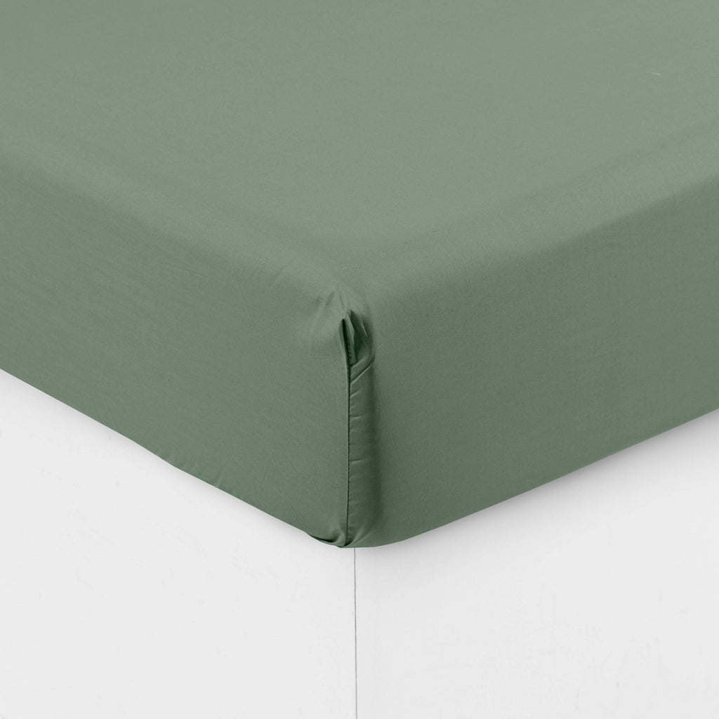 Fitted Sheet in Cotton Percale Neo Thyme - Carré Blanc Canada